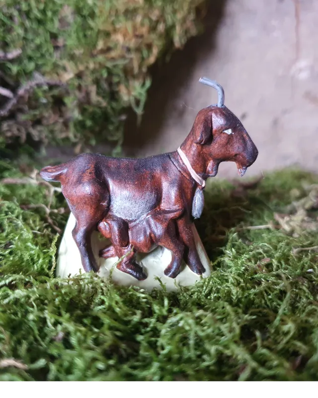 Chèvre et chevreau