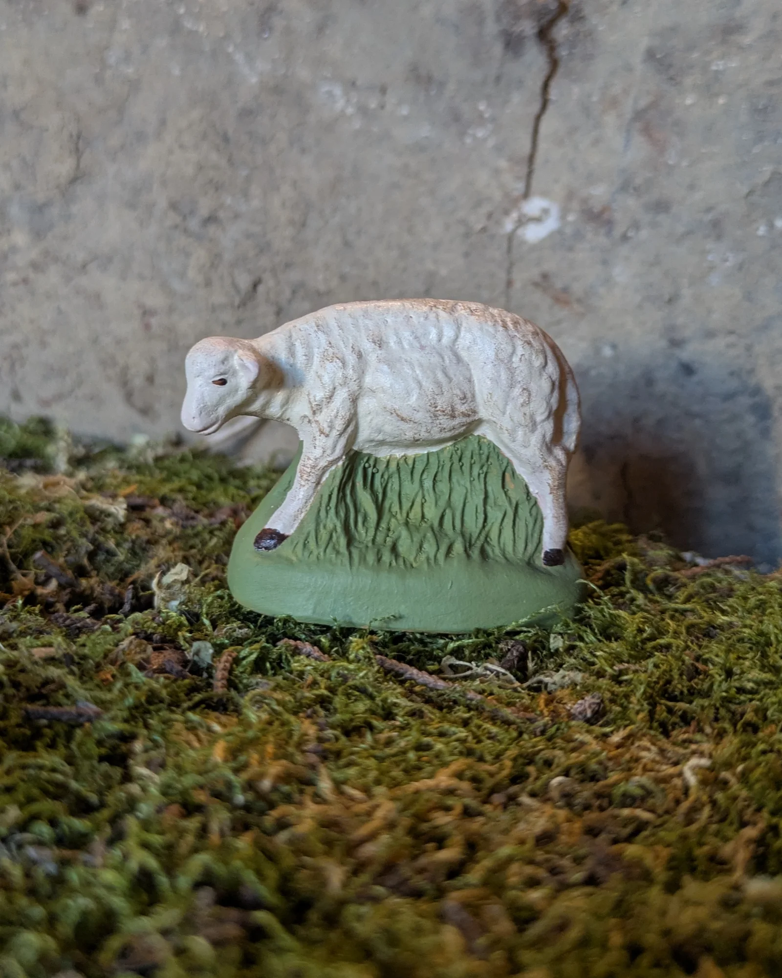 Mouton debout - 01