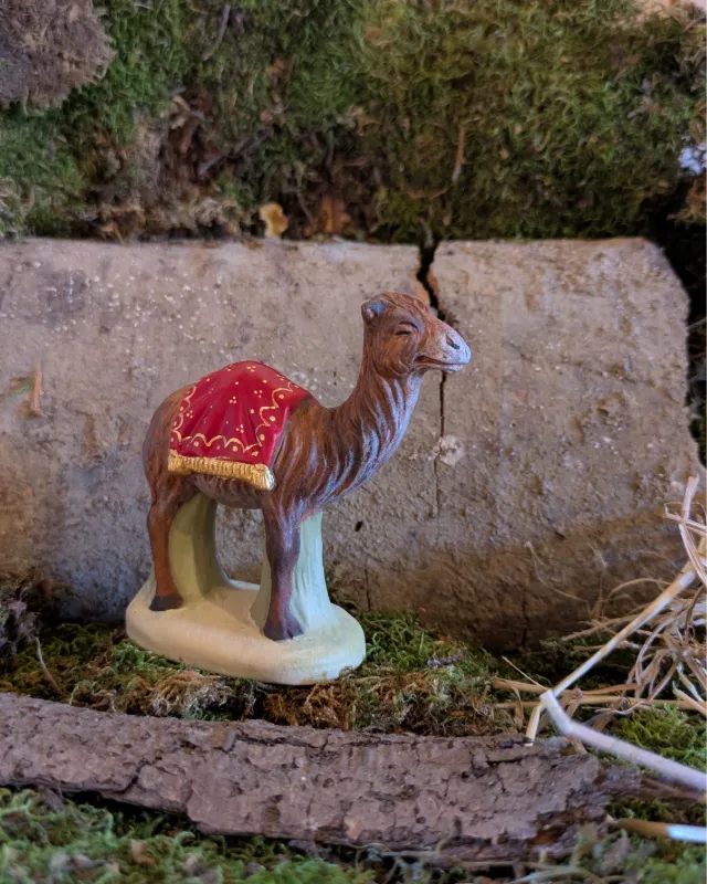 Dromadaire