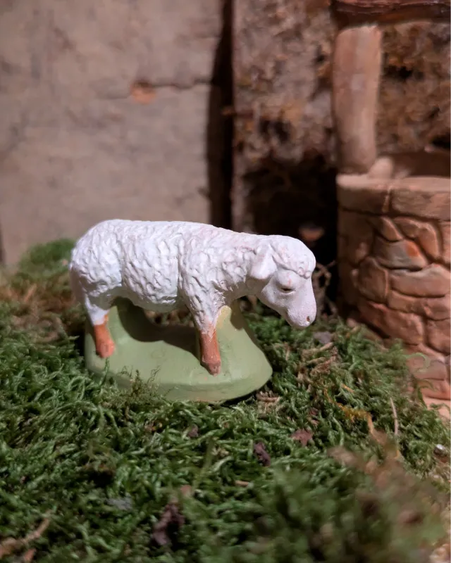 Mouton broutant-02