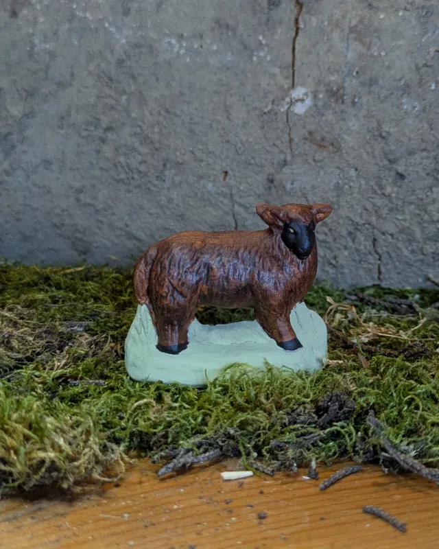 Mouton Ouessant tête à droite