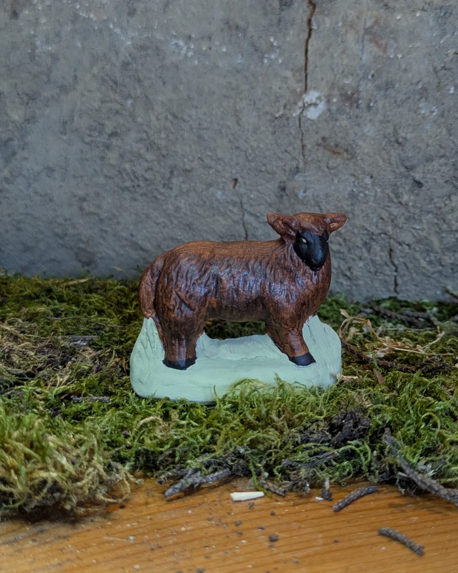 Mouton Ouessant tête à droite