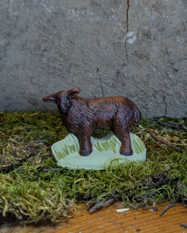 Mouton Ouessant tête à gauche