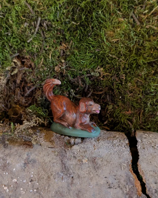 Chien espiègle