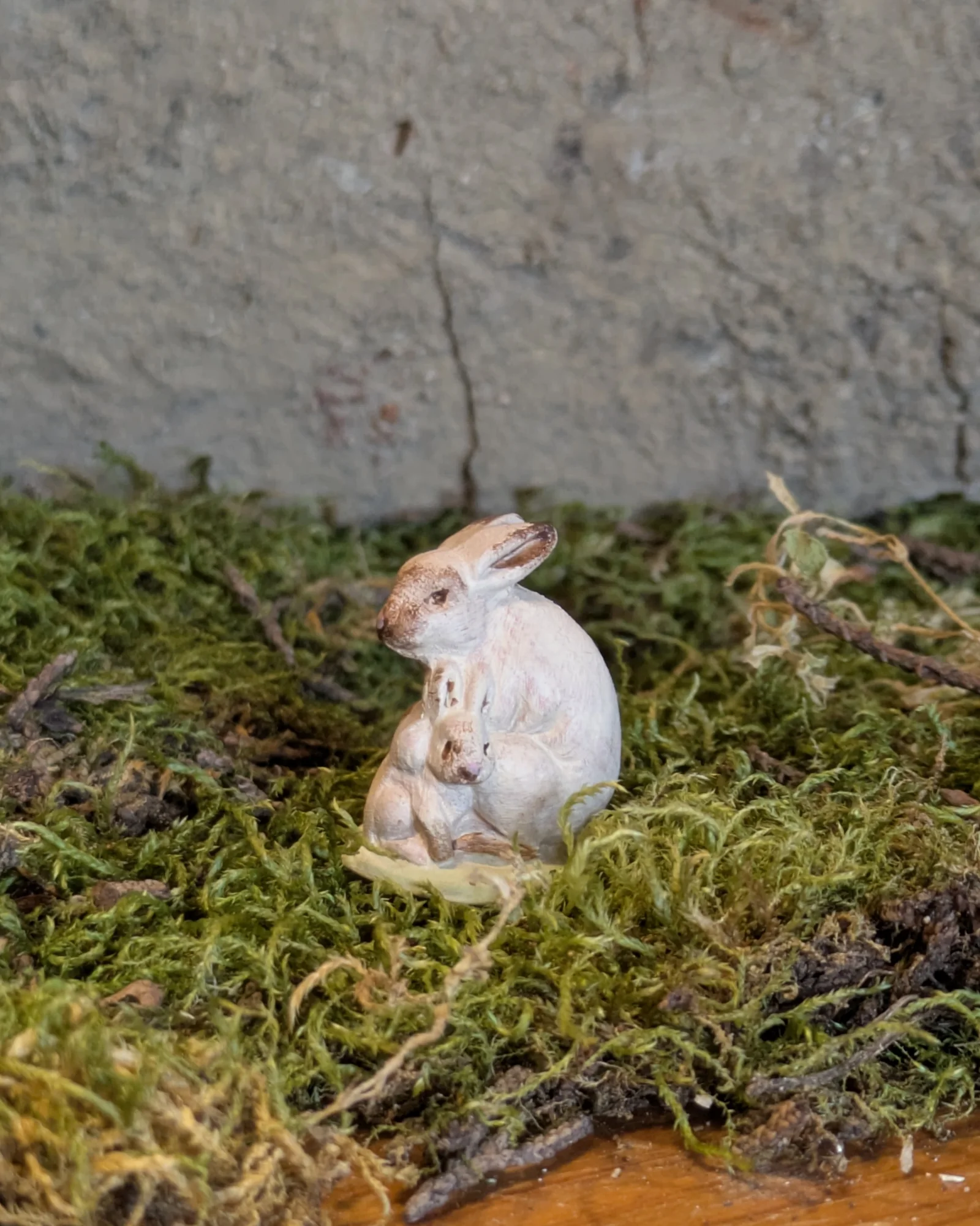 Lapin et lapereaux — Blanc