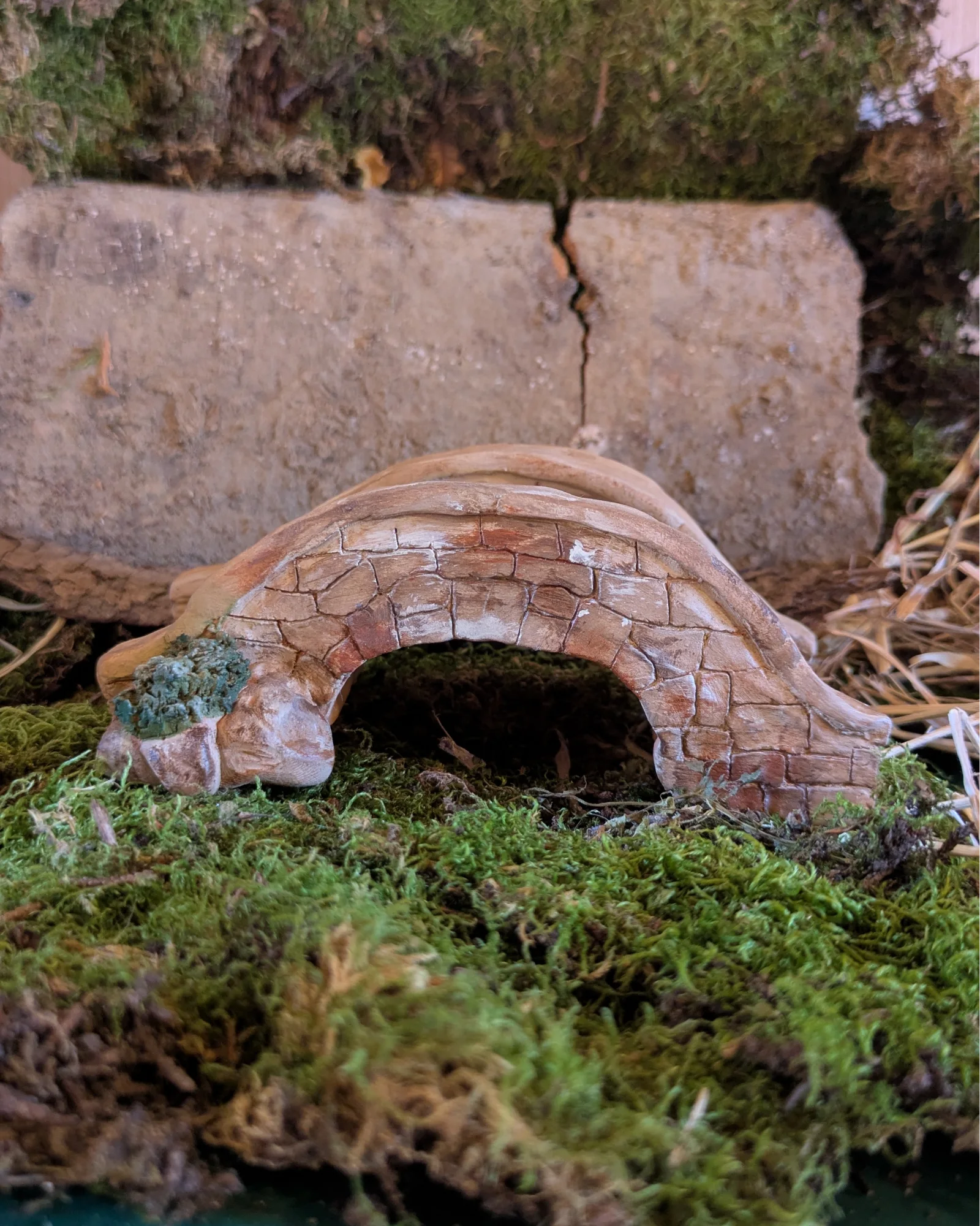 Pont piéton