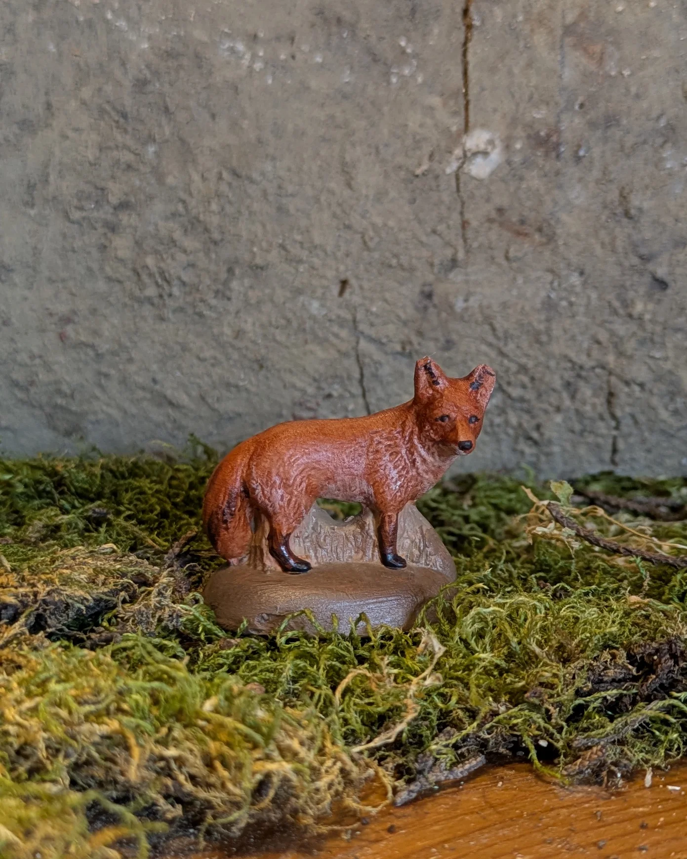 Renard roux